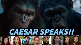 Reactors React To Caesar Speaking in Rise & Dawn of The Planet of The Apes!!