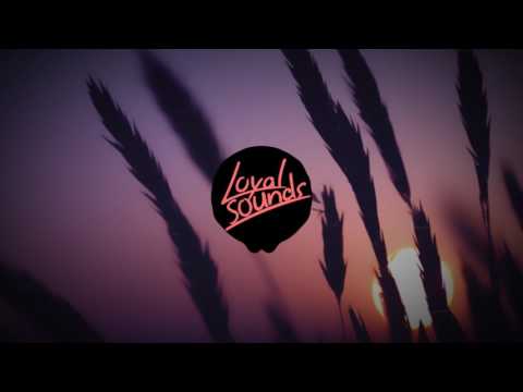 Trap Nation Style Visualizer Free Ae Visualizer Template Audio React