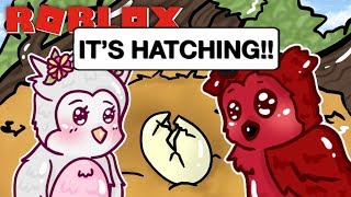 Roblox Feather Family Eggs Hatching