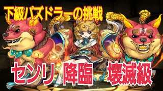 【パズドラ】下級パズドラーの挑戦！「センリ 降臨」壊滅級