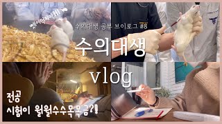 Korean vet student study vlog #8 | 7 exams in a week? | Collecting blood samples from a rat🐁🩸💉