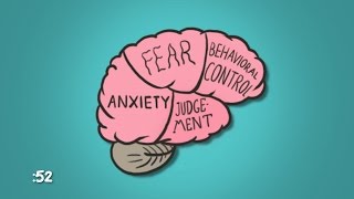 What Happens to Your Brain During an Orgasm? | WebMD