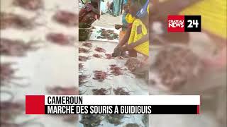 Bienvenue au marché des souris de Guidiguis au Cameroun