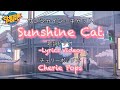 Sunshine Cat (Lyrics video) / Cherie Pops