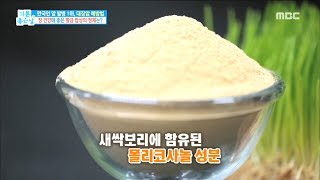 [Happyday]Good food ingredients to prevent colon cancer! 대장암 예방에 좋은 식재료! [기분 좋은 날] 20180312