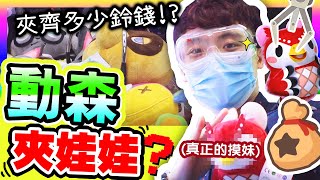 【趕在限聚令前夾娃娃】挑戰💥帶「動物森友會居民」回家！🤩兩次便出貨？美玲、傑克、小潤實物版❤️(中字)