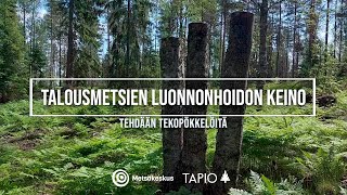 Talousmetsien luonnonhoidon keino: Tehdään tekopökkelöitä | Monimetsä