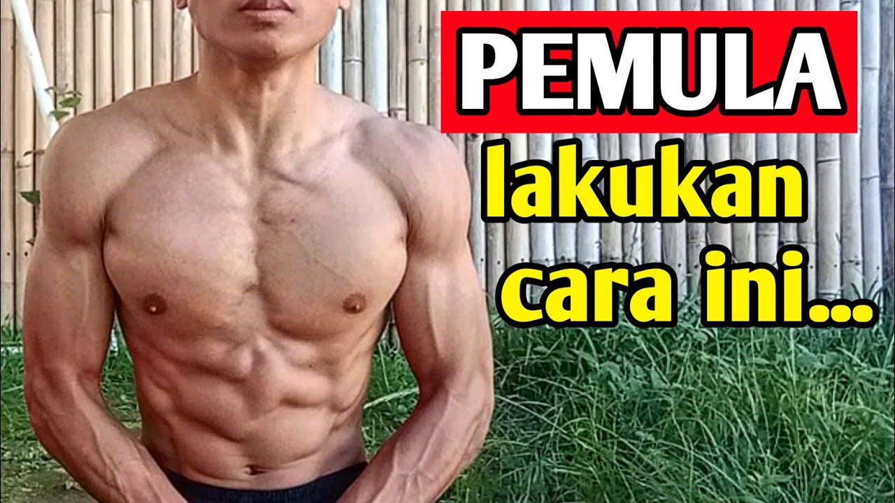 Untuk Pemula! Cara Membentuk Otot Tubuh Bagian Atas - Upper Body ...