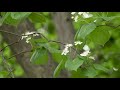 눈앞에 펼쳐진 산뜻함과 싱그러움이 가득한 산림욕장길 forest bathing park trail full of freshness in front of you