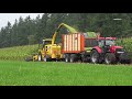 loonbedrijf zandman met new holland fx en case ih aan het mais hakselen 2017