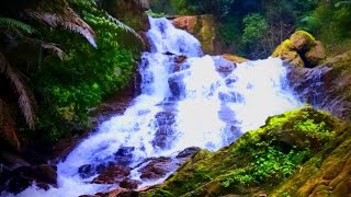 Palchuram Waterfalls | Beyond Expectations | Adventure | Crazy #youtube #waterfall #youtuber