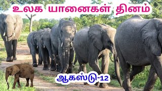 உலக யானைகள் தினம் | World elephant day | August 12 |