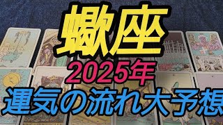 【蠍座 2025年運】紆余曲折しながらも壮大な恩恵とチャンスを掴む2025年です😳‼️‼️