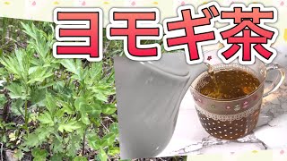 ヨモギ茶作ってみました 寝る前に飲むといい事があります💕