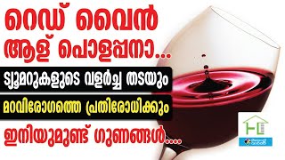 RED WINE റെഡ് വൈനിന്റെ ആരോഗ്യ ഗുണങ്ങൾ ഏറെ