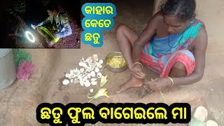 ରାତି 3ଟା ରୁ ଆସିଛୁ ଛତୁ କୁଳେଇବାକୁ//Balia Village Lifestyle