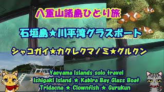 八重山諸島ひとり旅・石垣島・川平湾グラスボート・シャコガイ・カクレクマノミ・グルクン・Kabira Bay glass boat・Ishigaki Island ・Clownfish ・Gurukun