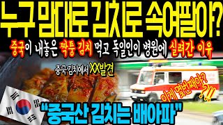 [해외감동사연] 누구 맘대로 김치로 속여팔아? 아이고 배아파. 중국산 짝퉁김치 먹고 독일인이 병원에 실려간 이유. [감동사연]