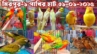 মিরপুর-১ পাখির হাট ৩১-০১-২০২৫ | pakhir hat 2025 | Bird market in Bangladesh | Mirpur-1 pakhir hat |