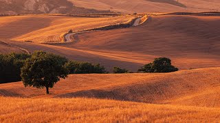 S04E04 Włochy w czasach zarazy - Toskania - Wspaniałe krajobrazy (Pienza)