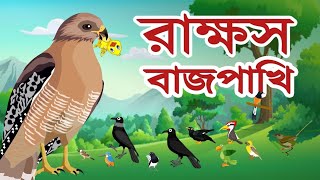 রাক্ষস বাজপাখি কার্টুন বাংলাতে//