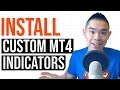 How to Install Custom Indicators on MT4 (Step By Step Guide)