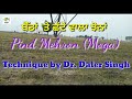 dsr paddy ਛੱਟਾ ਵਿਧੀ ਨਾਲ ਬੈੱਡਾਂ ਤੇ ਸ਼ਾਨਦਾਰ ਝੋਨਾਂ dr. daler singh method paddy on beds