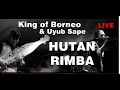 King of Borneo & Uyub Sape - Hutan Rimba #KapuasHulu (Band Asal Kalimantan Indonesia)