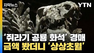 [자막뉴스] 쥐라기 시절 공룡 화석이 경매에? 금액 봤더니 '상상초월' / YTN