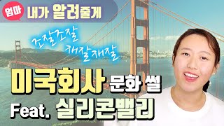 미국 회사문화 썰 (Feat. 실리콘밸리 IT 회사).  Let's talk about the ​Silicon Valley Tech company culture.