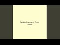 Twilight Fragments Storm