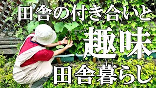 【標高800ｍの野鳥】移住して始めた家庭菜園と家の周りの野鳥。田舎暮らしの日々｜村暮らし｜移住｜料理【田舎暮らし】