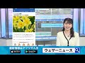 七十二候「金盞香」神話に関係するスイセンの花言葉