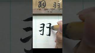 羽 - 真草雙體 智永《千字文》  #calligraphy #書法 #文化