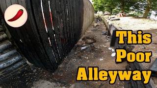 Glad I came back here! 🔥 | Litter picking ep.241