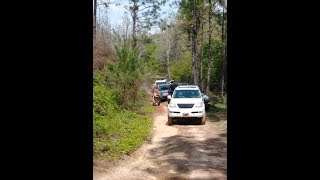 Blackwater WMA (FL), Riding the Forest Service Roads, 04 07 19