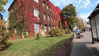 Поездка по осеннему Гродно. / A trip through autumn Grodno.