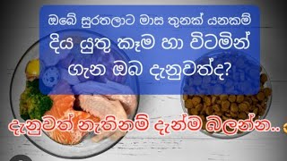 මාස තුනක් යනකන් බලු පැටියෙකුට දිය යුතු විටමින් හා කෑම වර්ග|Dil&Nipu Life|Puppy dog food and vitamin