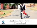 InMotion Vibe | AmaCombo Dance - Stanced (Quantum Sound)