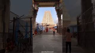 அண்ணாமலையார்🕉️❤️🙏#சிவன் #thiruvannamalai #arunachalam #lordshiva #shivan #shorts #shortvideo #viral