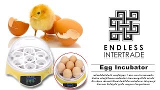 Elit เครื่องฟักไข่ไก่ ไข่เป็ด อัตโนมัติ Egg incubator รุ่น EIC009-ST