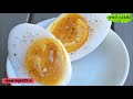 बतख के अंडे खाने के फायदे duck egg benefits health fitness tips in hindi the jalebi