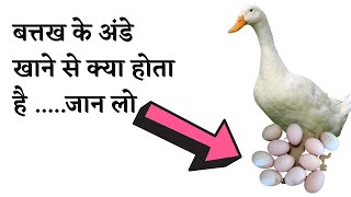 बतख के अंडे खाने के फायदे | duck egg benefits | health fitness tips in hindi | the jalebi