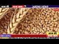 18 फरवरी 2025 गेहूँ का भाव गेहूँ के भाव में तूफानी तेजी देखें भाव gehu ka bhav wheat rate today