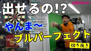 『山田勇樹はブルパーフェクトを出せるのか⁉』【週刊山田パンチ切り抜き】