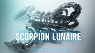 Le Scorpion Lunaire : La Sorcière