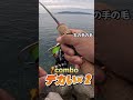 穴釣りは夢がある 釣り 穴釣り 根魚