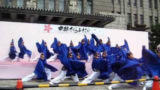 京都さくらよさこい祭り　ピンクチャイルド