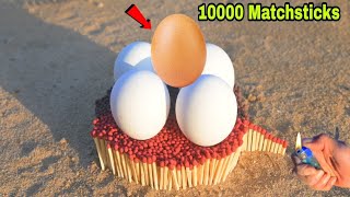 1000 Matchstick vs Egg 🥚 Experiments || क्या अंडा ऊबल सकता है- क्या #crazyxyz #experiments #egg