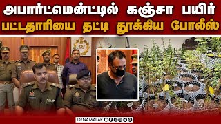 நவீன முறையில் கஞ்சா: வியந்து போன போலீசார்  Weed cultivation| one arrest at Noida for cultivating w